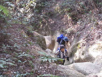 c0077338_654349.jpg