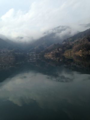 b0180946_20295034.jpg