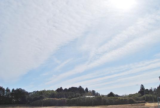 f0000148_2124186.jpg