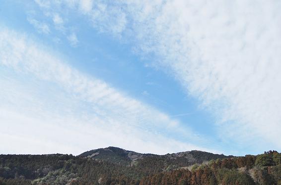 f0000148_21245965.jpg