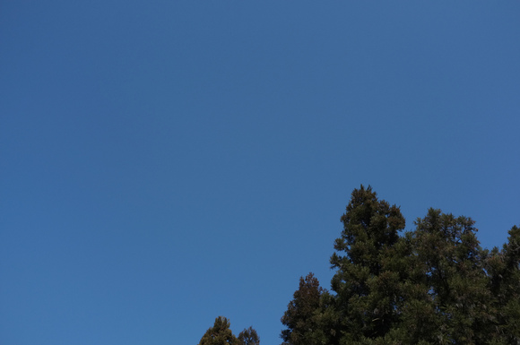 a0166150_1835269.jpg
