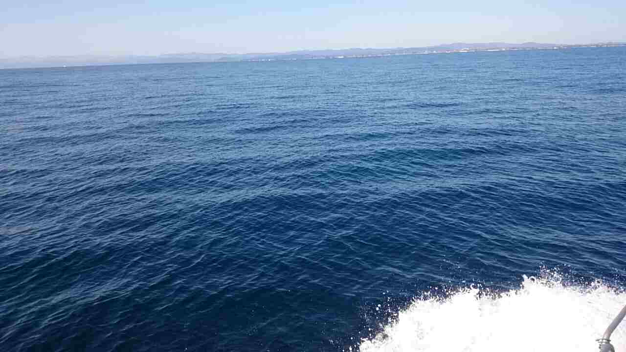 a0248152_17265165.jpg