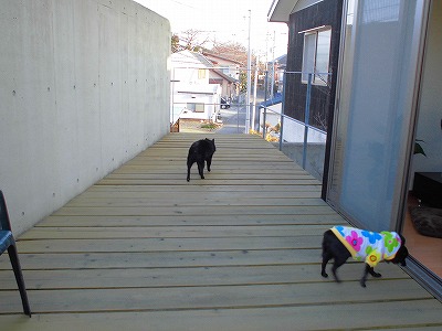 e0002466_18543299.jpg
