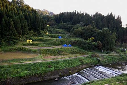 f0342371_20364532.jpg
