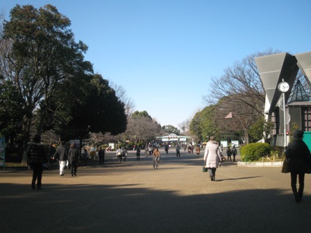 a0208783_23381460.jpg