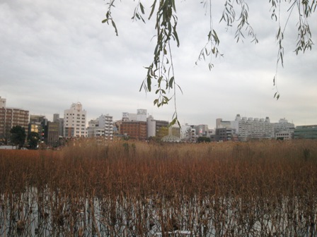 a0208783_23434276.jpg