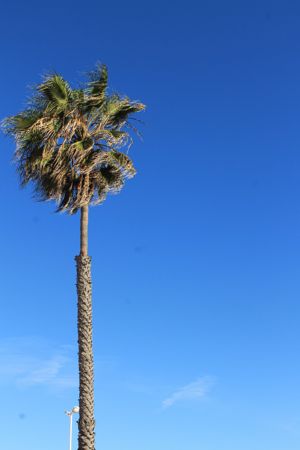 f0245389_1011946.jpg