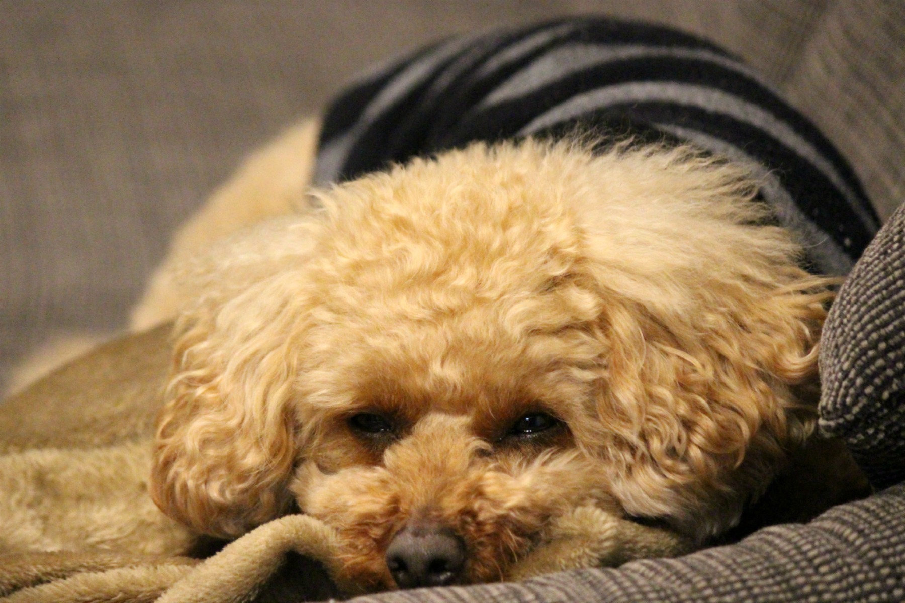 a0127090_21342397.jpg