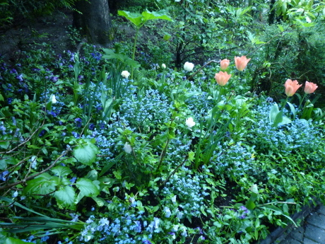 f0250403_13082185.jpg