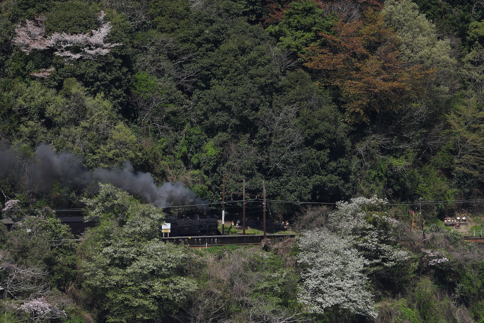 b0190710_0401667.jpg