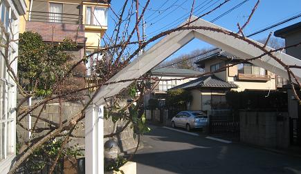 f0166824_2393635.jpg