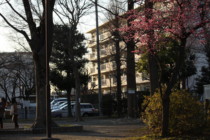 a0214329_724177.jpg