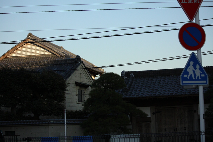 a0214329_7315552.jpg