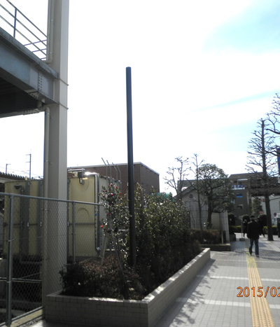f0153547_1745431.jpg