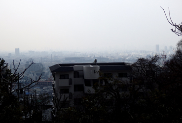 d0218056_945967.jpg