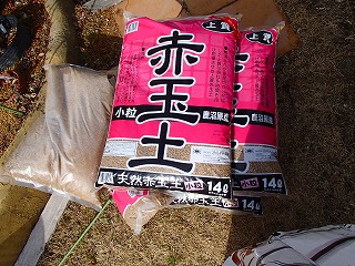 a0104162_20474573.jpg