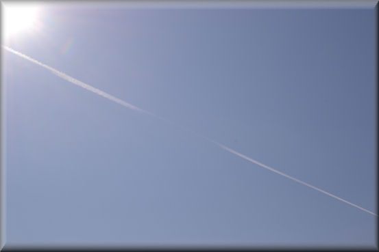 e0099375_12524882.jpg