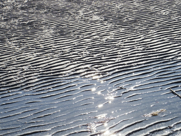 a0152078_9364620.jpg