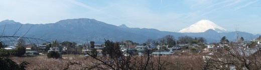 e0145782_1859993.jpg