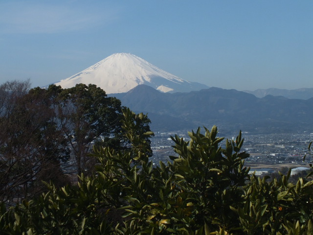 e0145782_1923157.jpg