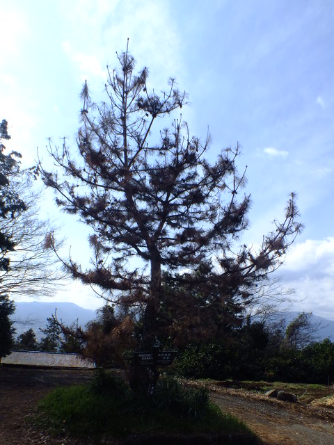 e0145782_193048.jpg