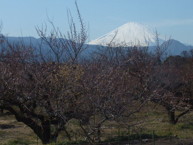 e0145782_1933333.jpg