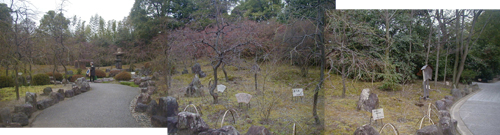 d0053294_1451343.jpg