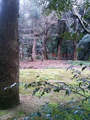 e0190698_22231031.jpg