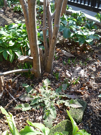 e0234004_18423192.jpg