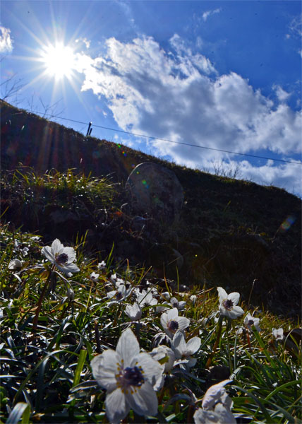 d0029829_4313039.jpg