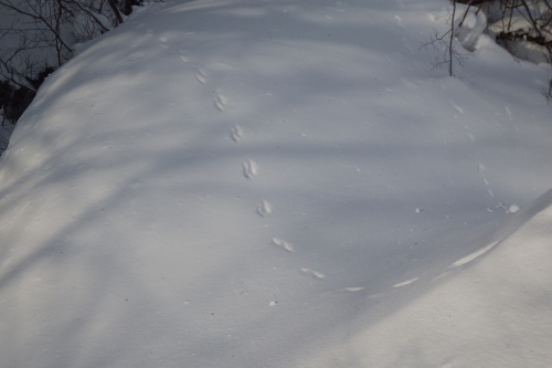 f0118332_23571627.jpg