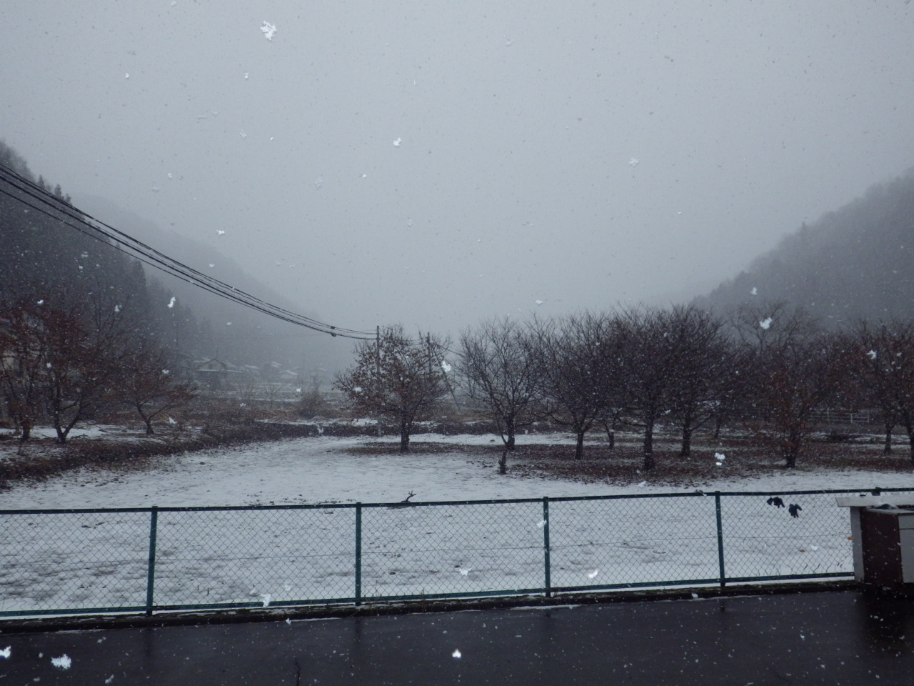 c0300035_17114574.jpg