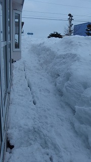 e0004756_20593487.jpg