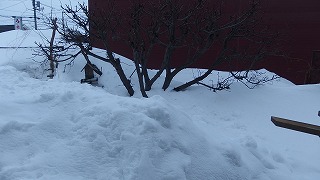 e0004756_211384.jpg