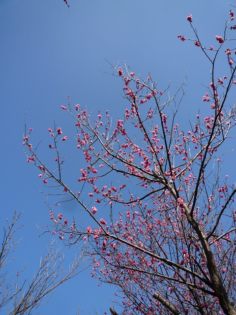 b0238886_20402454.jpg