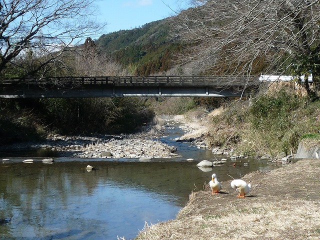 b0238886_2045127.jpg