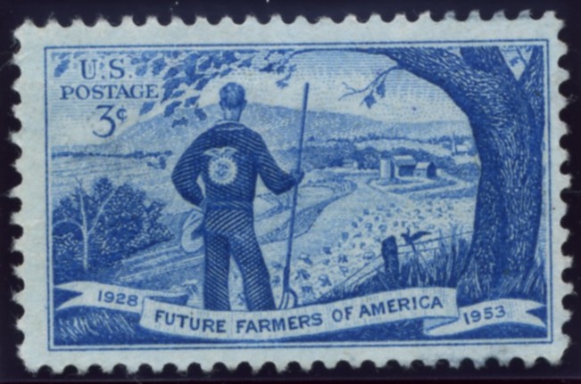 c0078587_21455616.jpg