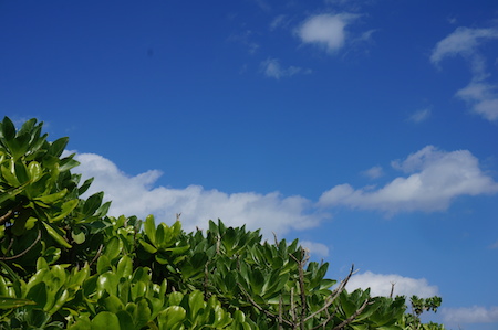 e0194987_15474790.jpg