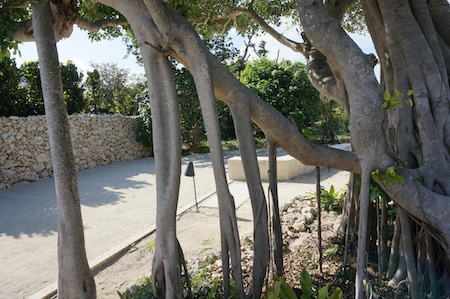e0194987_1548375.jpg