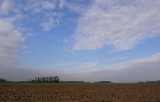 e0043700_232123.jpg