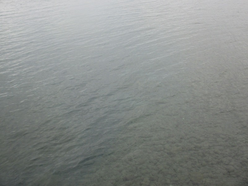 f0202703_4243321.jpg