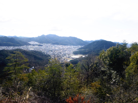 d0170615_19323331.jpg