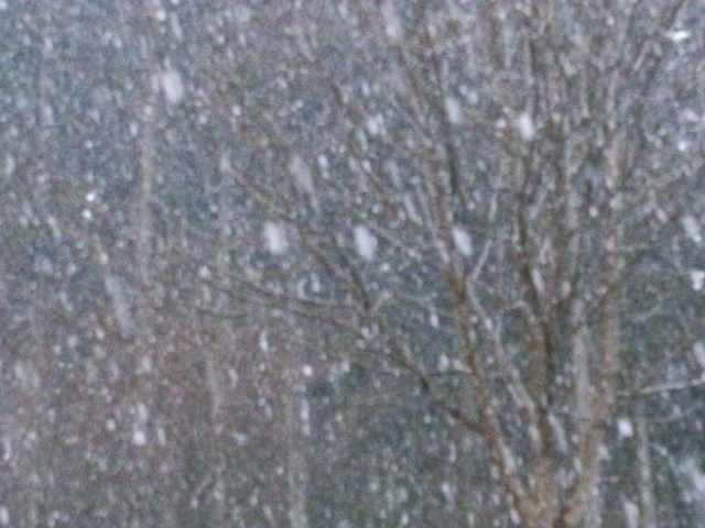 f0341616_05120841.jpg