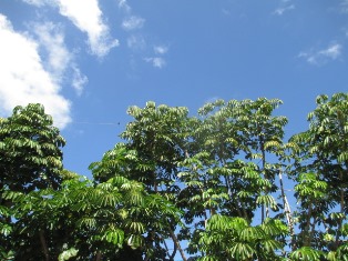 a0242019_17431877.jpg