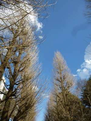 e0312121_23165120.gif