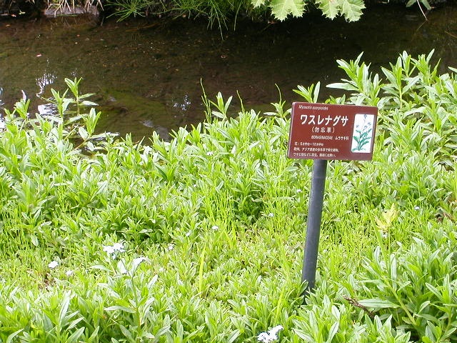 e0033229_21513584.jpg