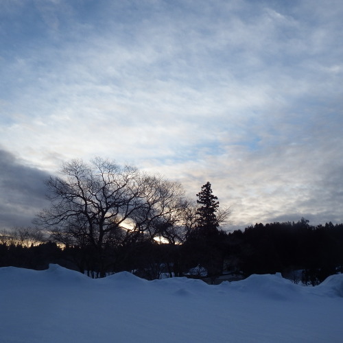 f0118332_00022276.jpg