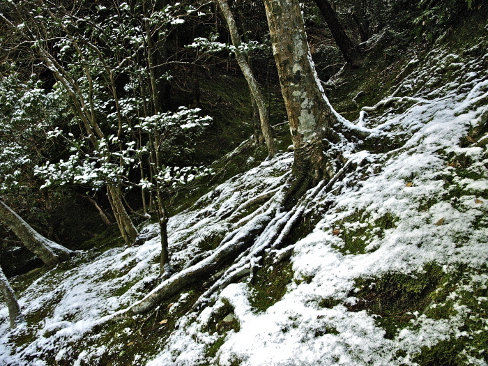 f0315034_13451761.jpg