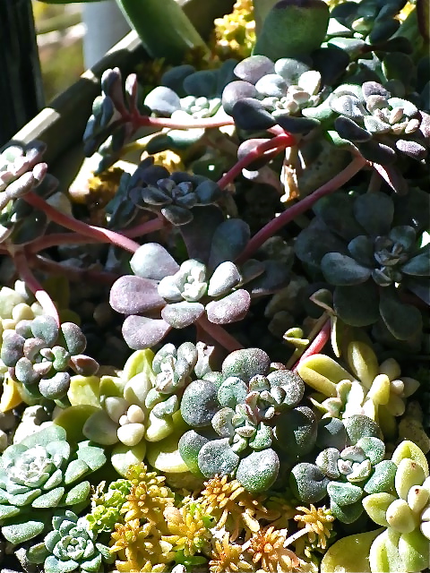 b0027736_12544661.jpg