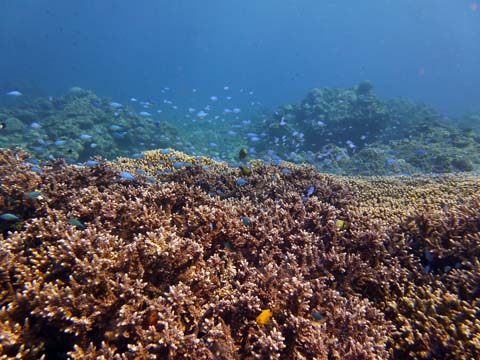 f0014842_18505754.jpg
